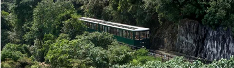 Victoria Peak Without the Tram Queue in Hong Kong